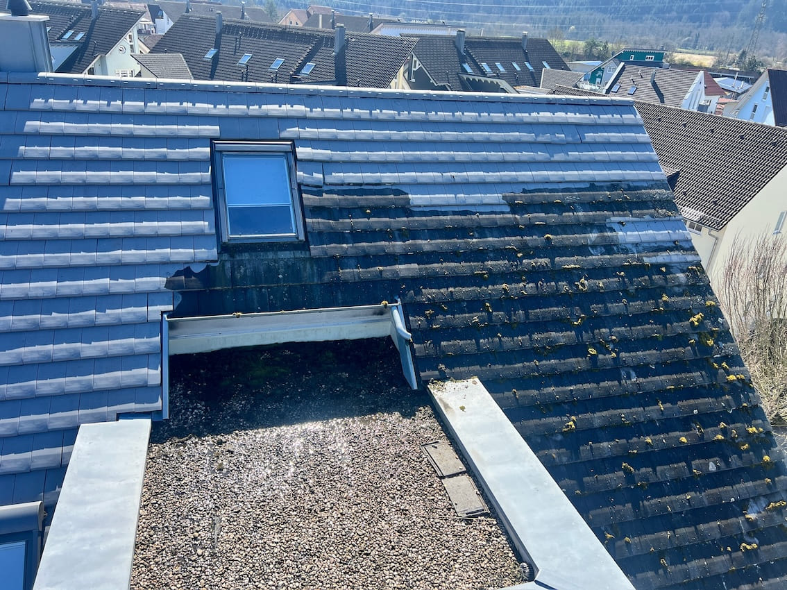 Professionelle Dachreinigung und Photovoltaikreinigung in Kehl