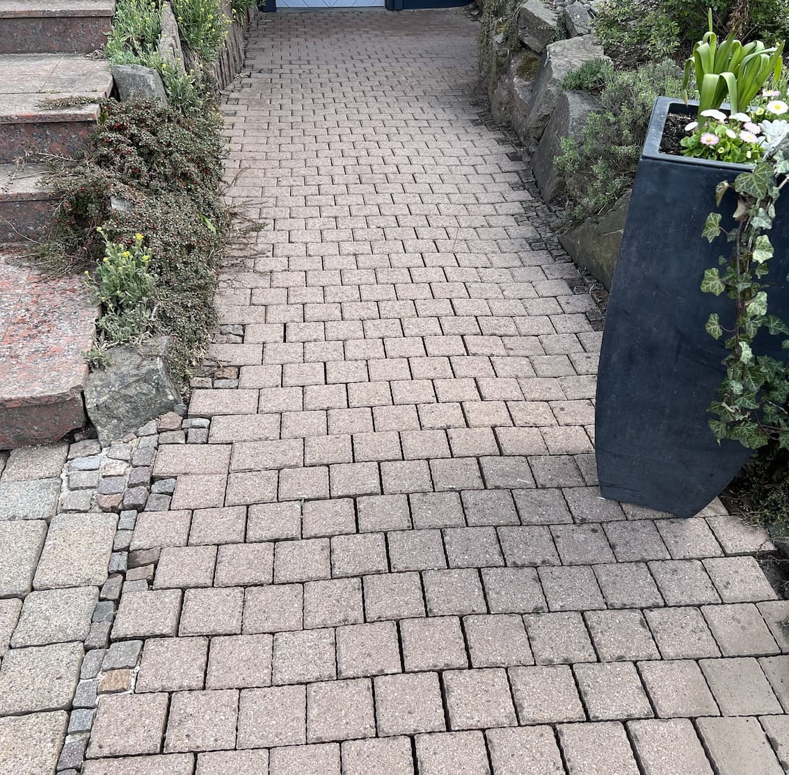 Professionelle Steinreinigung